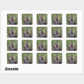 De grove vierkante sticker (Vel)