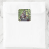 De grove vierkante sticker (Tas)