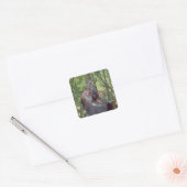 De grove vierkante sticker (Envelop)