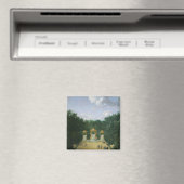 De Groven van de Baden van Apollo Magneet (Insitu (Vaatwasser))