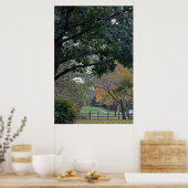 De gulden van de pit in herfst poster (Keuken)