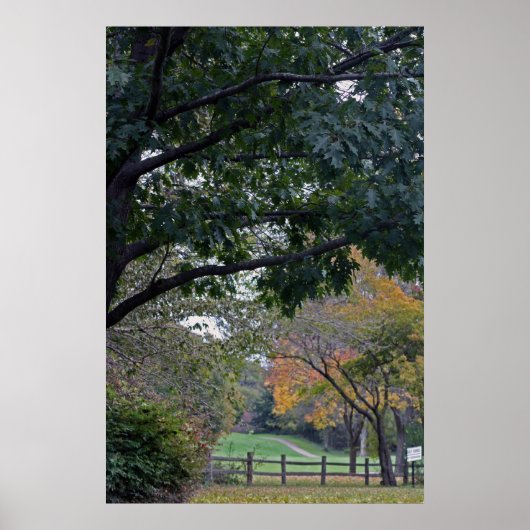 De gulden van de pit in herfst poster (Voorkant)