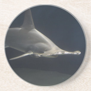 De Haai van Hammerhead Zandsteen Onderzetter