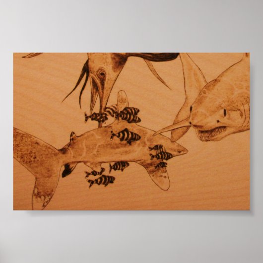 De haaienstier poster (Voorkant)