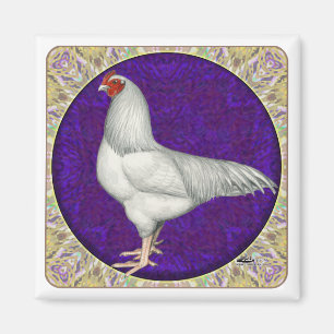 De Haan van Ixworth Magneet