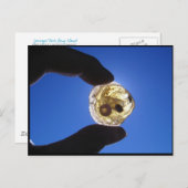 De Hals van Jessups, Long Island Briefkaart (Voorkant / Achterkant)