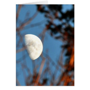 De halve maan door Barren Branches