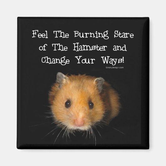 De hamster magneet (Voorkant)