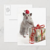 De Hamster van de Kerstman met Gift Feestdagenkaart (Voorkant / Achterkant)