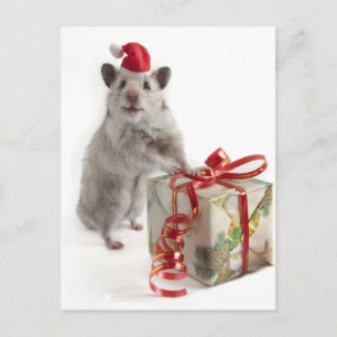 De Hamster van de Kerstman met Gift Feestdagenkaart