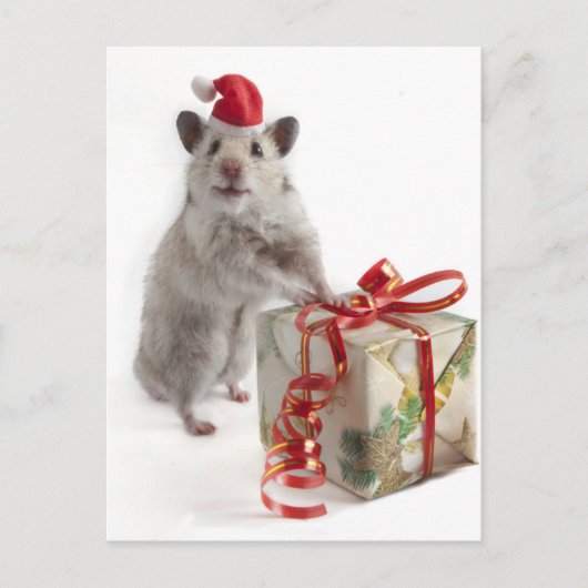 De Hamster van de Kerstman met Gift Feestdagenkaart (Voorkant)