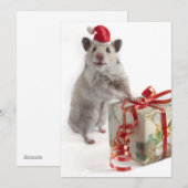 De Hamster van de Kerstman met Gift Feestdagenkaart (Voorkant / Achterkant)