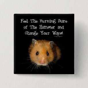 De hamster vierkante button 5,1 cm