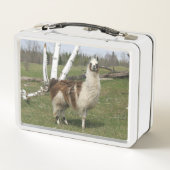 DE HAPPY LLAMA (Achterkant)