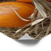 De Happy Scarecrow Poster (Hoek)