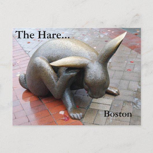 De haren... Briefkaart (Voorkant)