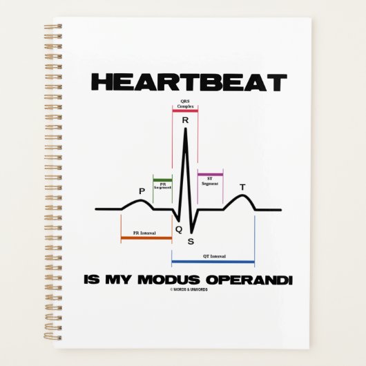 De hartslag is mijn Modus Operandi Sinus Rhythm Planner (Voorkant)