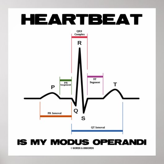 De hartslag is mijn Modus Operandi Sinus Rhythm Poster (Voorkant)