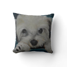 De Havanese