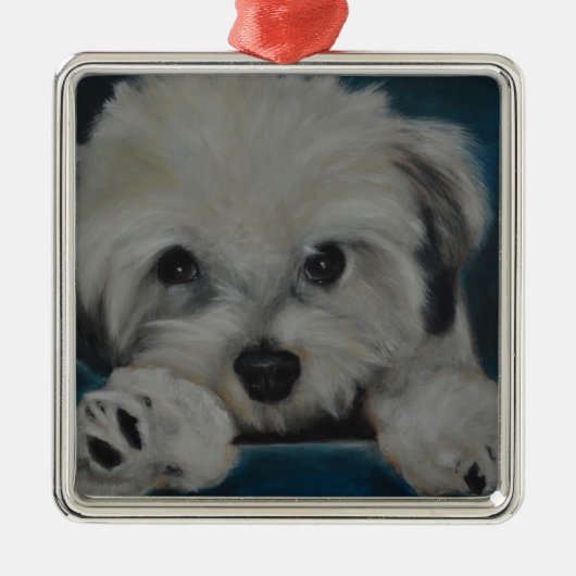 De Havanese Metalen Ornament (Voorkant)
