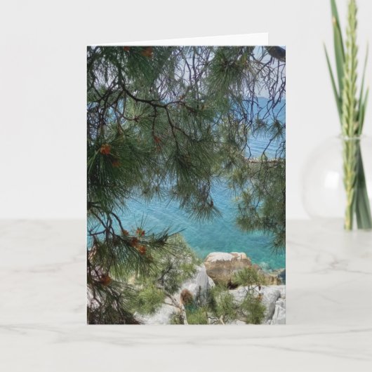 De haven van de haven van Skiathos. Blanco. Kaart (Voorkant)