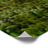 De Havilland Beaver Floatplane Poster (Hoek)