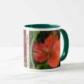 De Hawaiiaanse Mokken van de Hibiscus en van de (Voorkant rechts)