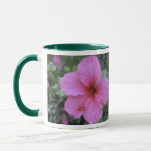 De Hawaiiaanse Tropische Mokken van Plumeria & van