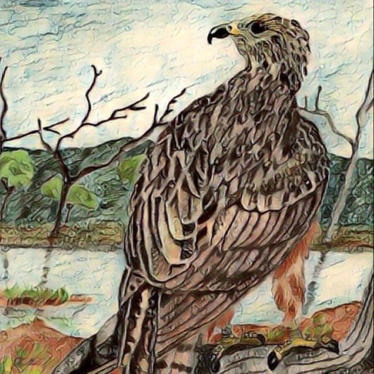 De Hawk Canvas Afdruk