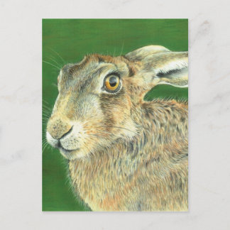 De Hazen van de lente Briefkaart