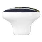 De Heade de magnolia de fleurs toujours bouton de (Côté)