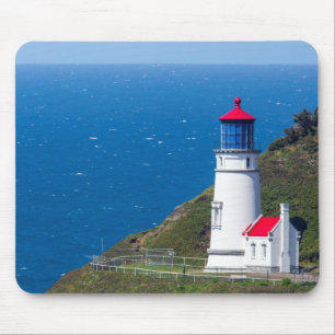 De Heceta Head Lighthouse bij Florence Muismat