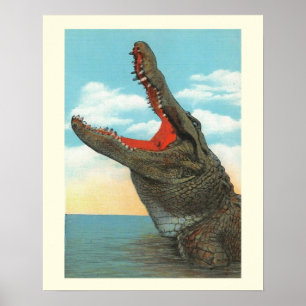 de heer Alligator Poster