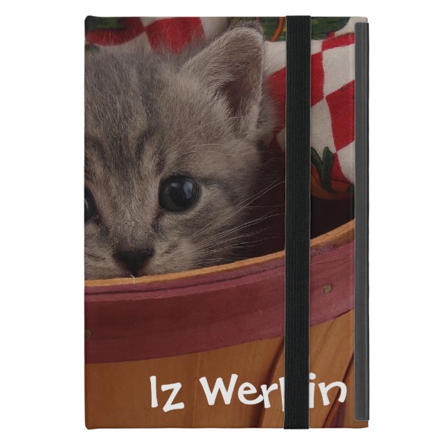 de heer Brown Kat iPad Mini Hoesje (Voorkant Dicht)