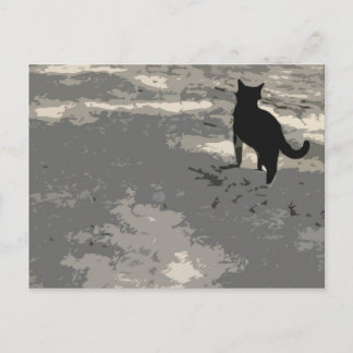 de heer Cat Briefkaart 010