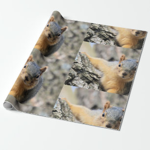 de heer Cutie Cadeaupapier