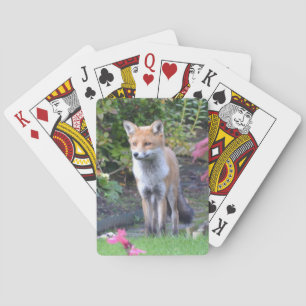 de heer Fox Pokerkaarten