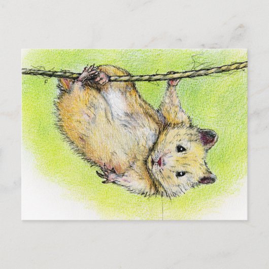 De heer Ham Briefkaart (Voorkant)