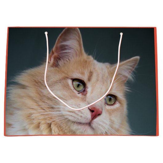 de heer Handsome Groot Cadeauzakje (Voorkant)