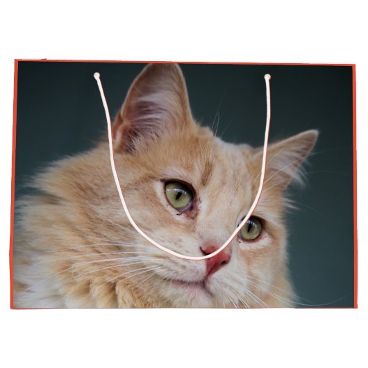 de heer Handsome Groot Cadeauzakje (Achterkant)