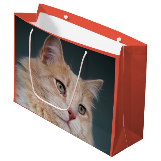 de heer Handsome Groot Cadeauzakje (Voorkant Gekanteld)