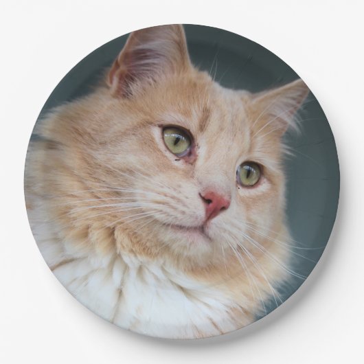 de heer Handsome Papieren Bordje (Voorkant)