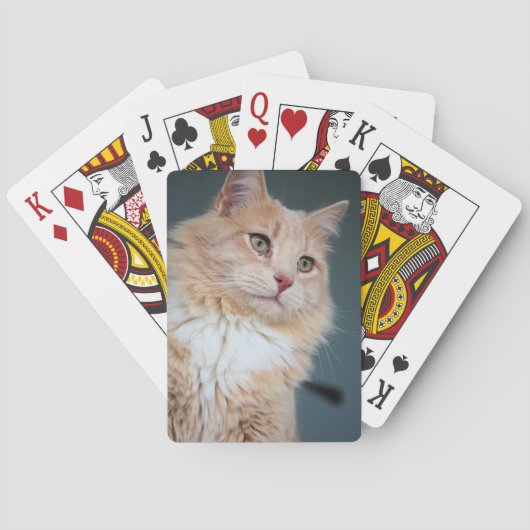 de heer Handsome Pokerkaarten (Achterkant)