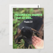 De Heer is mijn Bijbelse Afbeelding van Shepherd Briefkaart (Voorkant / Achterkant)