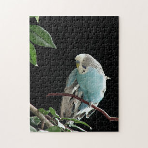 de heer Jill Budgie Puzzle Legpuzzel