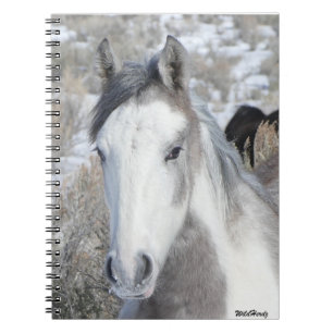 de heer Kat Notebook Notitieboek