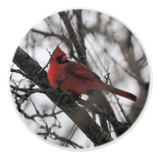 De heer keramische knop (Voorkant)