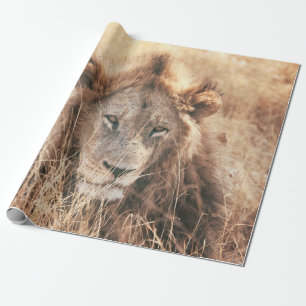 DE HEER LION KING CADEAUPAPIER