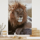 DE HEER LION POSTER (Keuken)