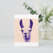 de heer Llama Briefkaart (Staand voorkant)